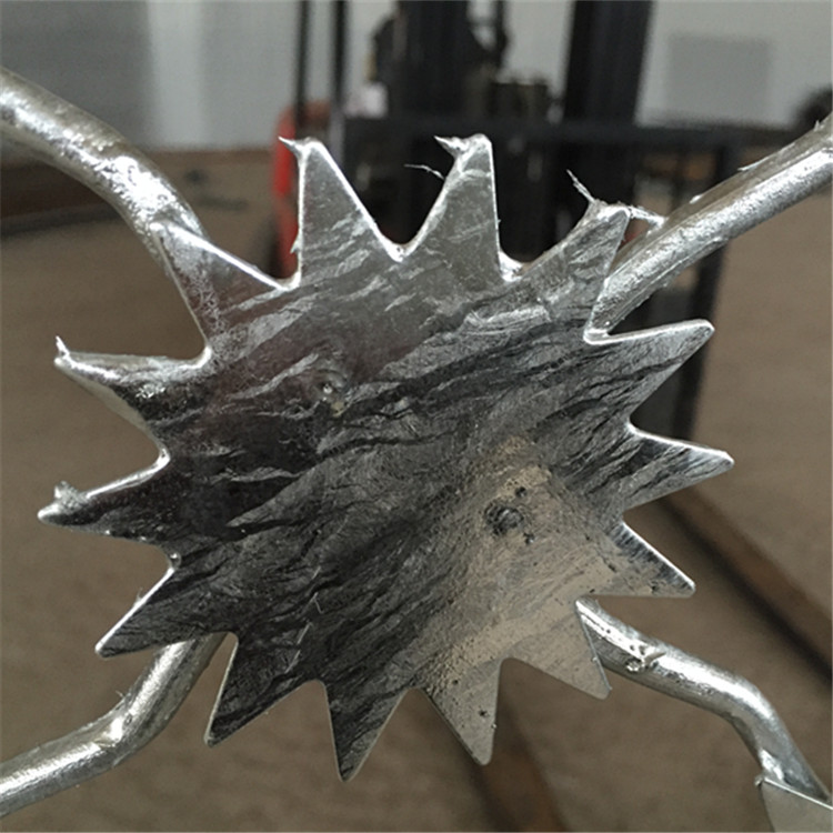 梅花刺隔離網案例展示圖片2