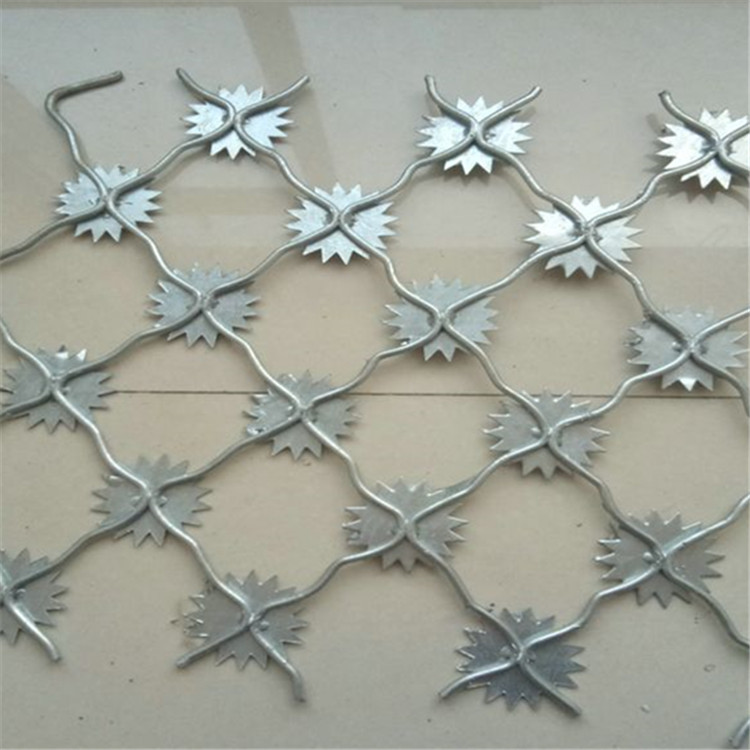 梅花刺隔離網案例展示圖片3